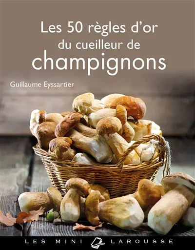 Les champignons sont de sortie !