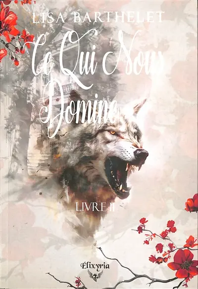 Ce qui nous domine : dans l'univers d'Akopo. Vol. 2