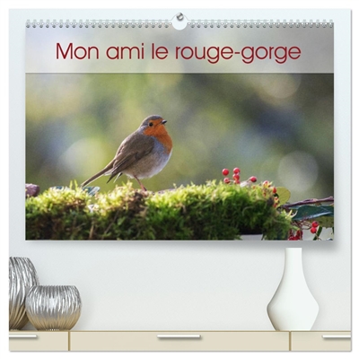Mon ami le rouge-gorge...