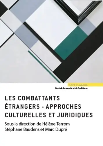 Les combattants étrangers : approches culturelles et juridiques