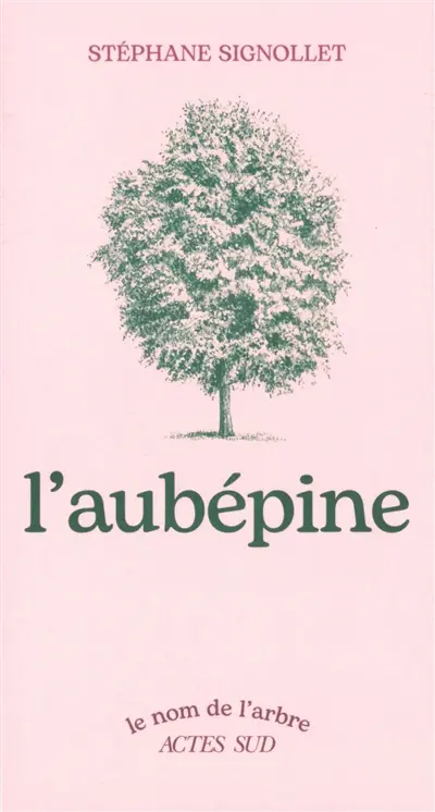L'aubépine