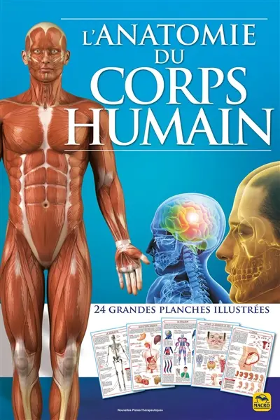 L'anatomie du corps humain : 24 grandes planches illustrées
