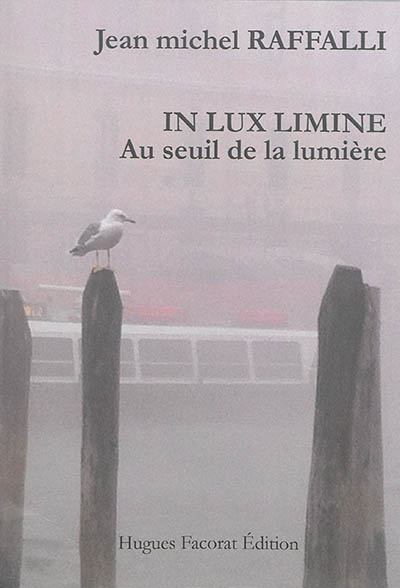 In lux limine. Vol. 1. Au seuil de la lumière