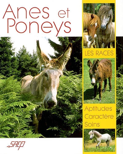 Anes et poneys