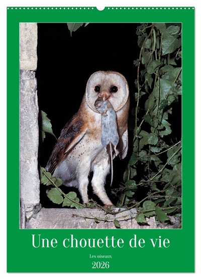 Une chouette de vie, les...