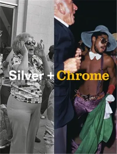 Mitch Epstein Silver + Chromes