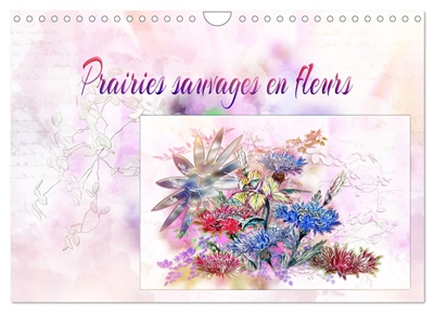 Prairies sauvages en fleurs...
