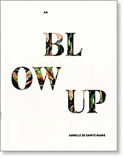 BLOW UP : Armelle de Sainte Marie