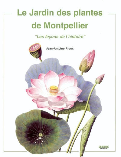 Le jardin des plantes de Montpellier : les leçons de l'histoire