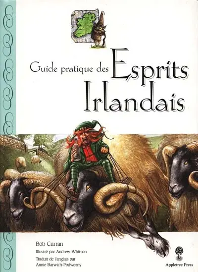 Guide pratique des esprits irlandais