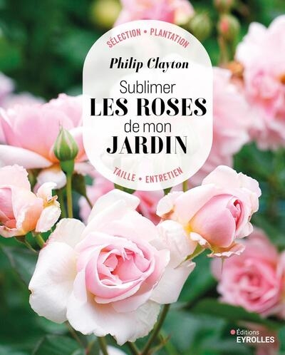 Sublimer les roses de mon jardin : sélection, plantation, taille, entretien