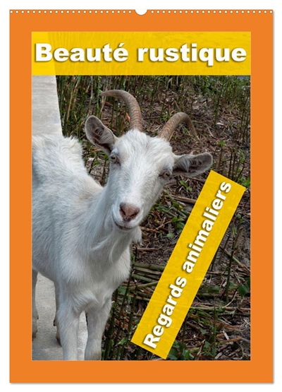 Beauté rustique Regards animaliers (Calendrier mural 2026 DIN A2 horizontal), CALVENDO calendrier mensuel : Des portraits d'animaux d'élevage mettant en valeur leur caractère unique.