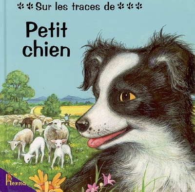 Petit chien