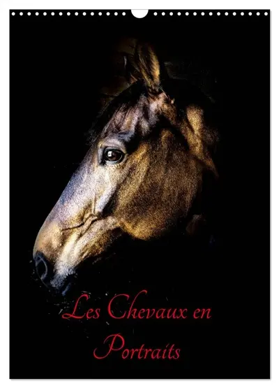 Chevaux en Portraits (Calendrier mural 2026 DIN A3 horizontal), CALVENDO calendrier mensuel : Portraits de chevaux en liberté et studio