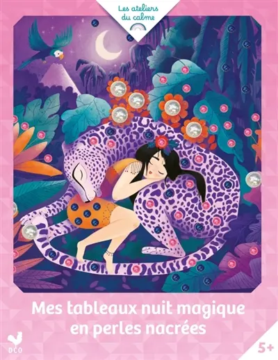 Mes tableaux nuit magique en perles nacrées : pochette avec accessoires
