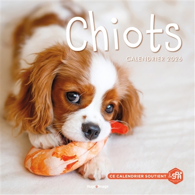Calendrier mural Chiots 2026