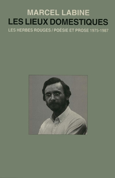 Les lieux domestiques : poésie et prose, 1975-1987