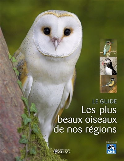 Les plus beaux oiseaux de nos régions : le guide