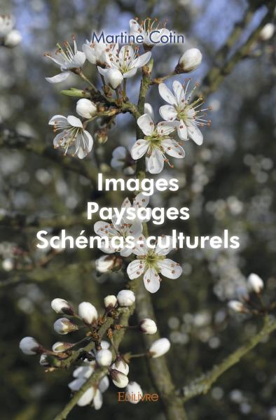 Images, paysages, schémas culturels