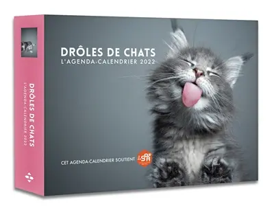 Drôles de chats : l'agenda-calendrier 2022