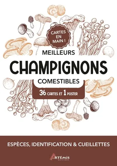 Meilleurs champignons comestibles : 36 cartes et 1 poster : espèces, identification & cueillettes Meilleurs champignons comestibles : 36 cartes et 1 poster : espèces, identification & cueillettes