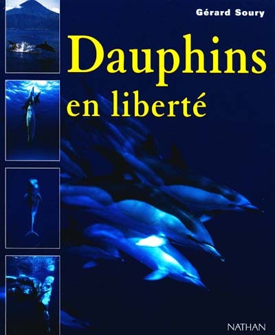Dauphins en liberté