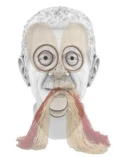 Tavares Strachan In Plain Sight