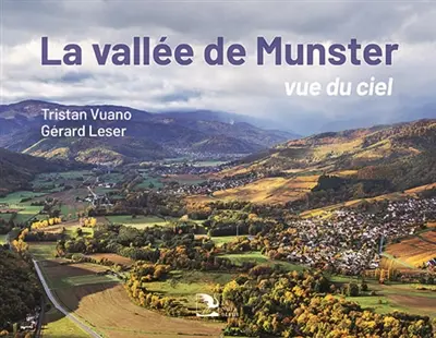 La vallée du Munster, vue du ciel