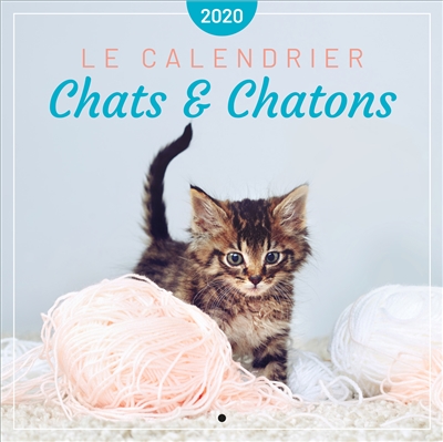 Chats & chatons : le calendrier 2020