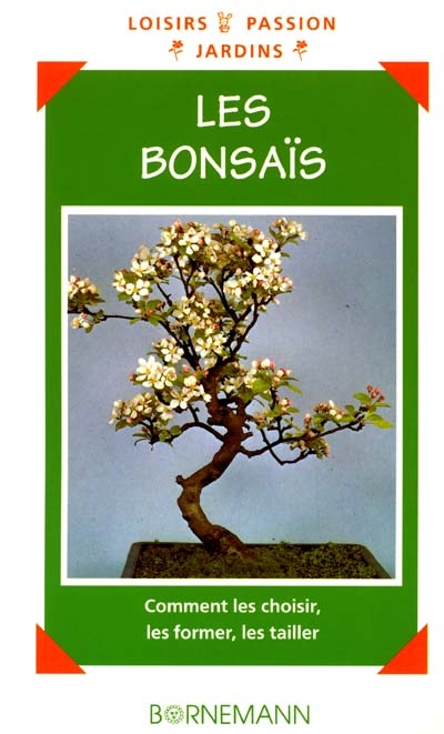 Les bonsaïs : comment les choisir, les former, les tailler