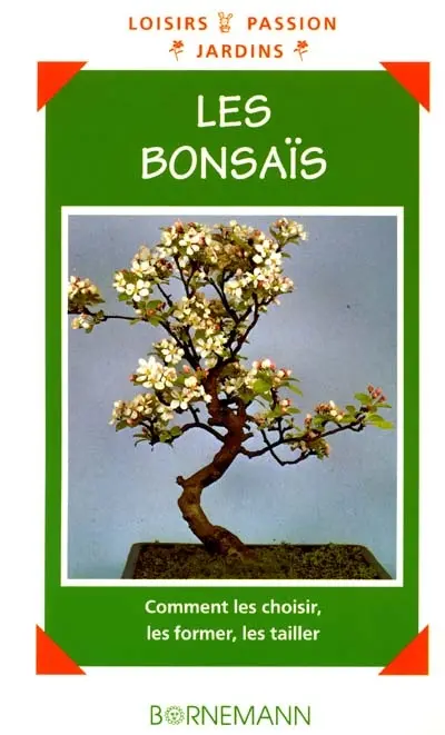Les bonsaïs : comment les choisir, les former, les tailler