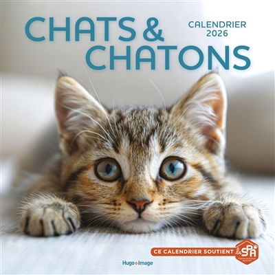 Calendrier mural Chats et...