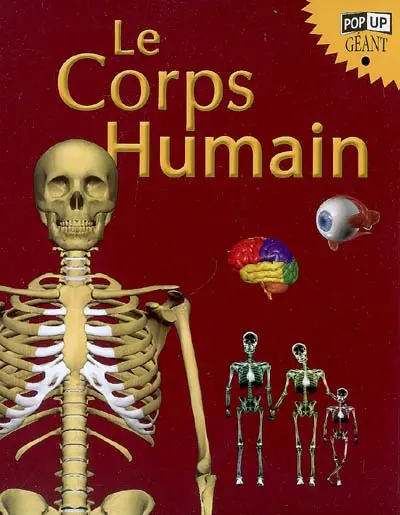 Le corps humain : pop-up géant