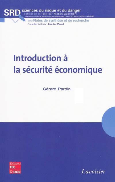 Introduction à la sécurité économique