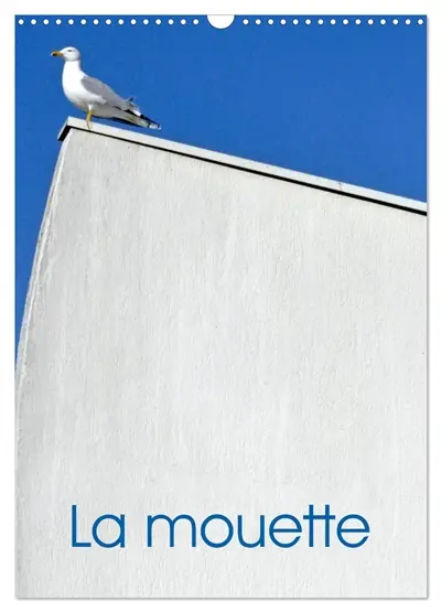 La mouette (Calendrier mural 2026 DIN A3 horizontal), CALVENDO calendrier mensuel : Photographies des mouettes dans nos ports