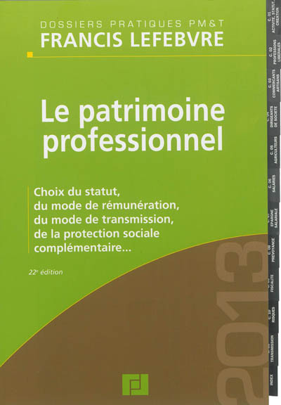 Le patrimoine professionnel : choix du statut, du mode de rémunération, du mode de transmission, de la protection sociale complémentaire...