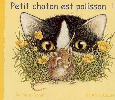 Petit chaton est polisson