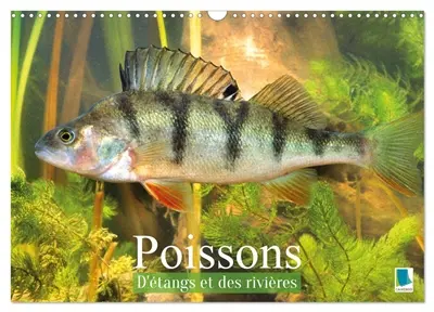 Poissons : d'étangs et des rivières (Calendrier mural 2027 DIN A3 vertical), CALVENDO calendrier mensuel : Prises de vues sous-marines grandioses de poissons qui évoluent dans nos eaux