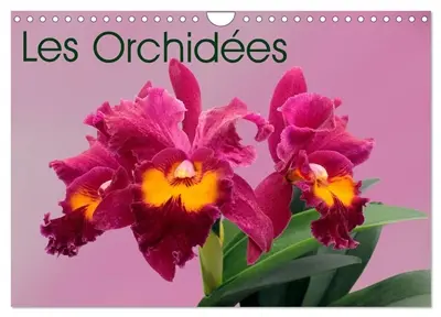Les Orchidées (Calendrier mural 2026 DIN A4 vertical), CALVENDO calendrier mensuel : Les orchidées exotiques