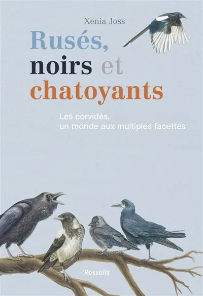 Rusés, noirs et chatoyants : les corvidés, un monde aux multiples facettes