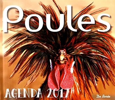 Poules : agenda 2017