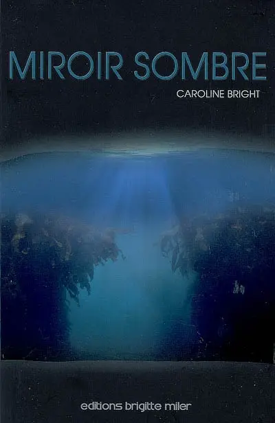 L'épopée Diptérius. Vol. 3. Miroir sombre