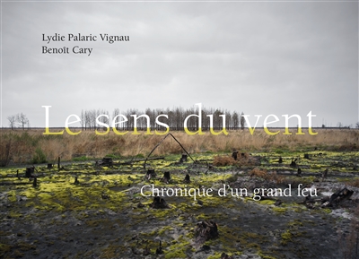 Le sens du vent : chronique d'un grand feu