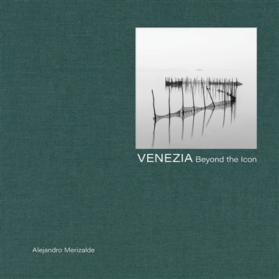 Venezia : beyond the icon