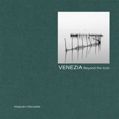 Venezia : beyond the icon
