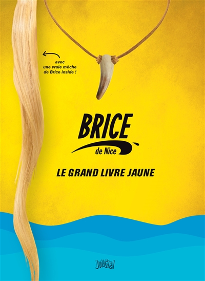 Brice de Nice : le grand livre jaune