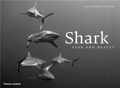 Shark Fear & Beauty