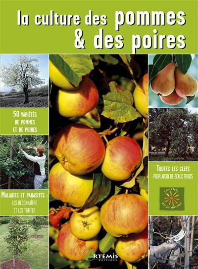 La culture des pommes et des poires