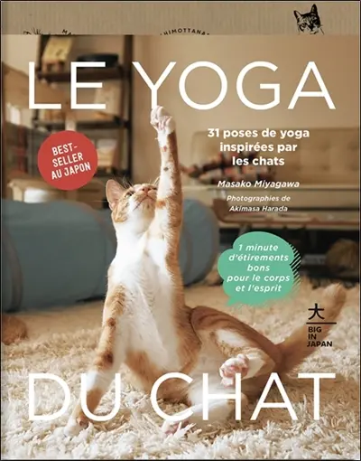Le yoga du chat Le yoga du chat