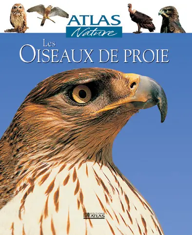 Les oiseaux de proie